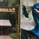 Itá: paraíso termal